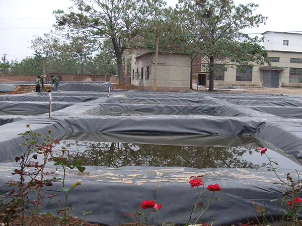 防滲土工膜在水產養殖行業發揮良好特性。 防滲土工膜在水產養殖行業發揮良好特性。