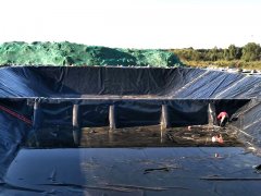 魚塘土工膜進行養魚作業可提高成活率