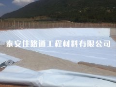 HDPE復合土工膜購買過程需要注意哪些細節(jié)要點？
