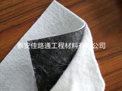 創新守護，防滲土工膜的全方位保護策略
