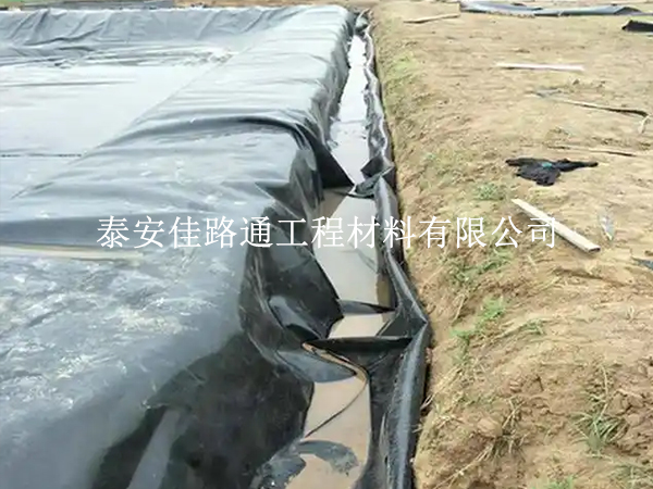 養殖防滲膜開裂不用慌！4 步處理技巧 + 預防方案